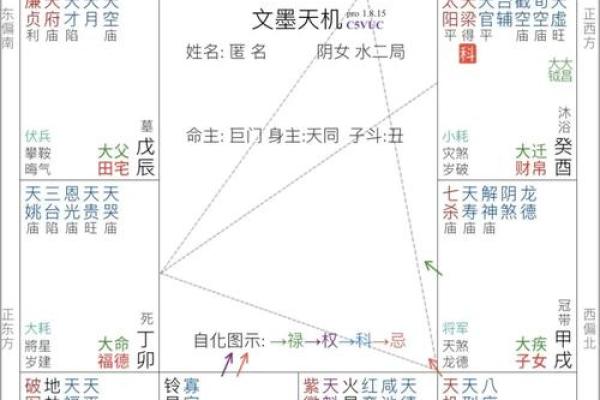 紫薇斗数看自身成就