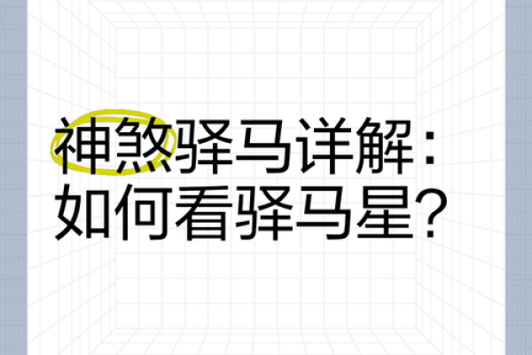 算命驿马是什么意思 算命驿马的意义