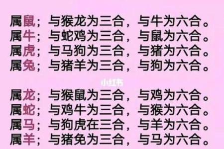 生肖配对表 年份生肖配对表