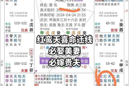 八字大运地支天喜