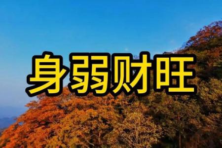 八字太旺