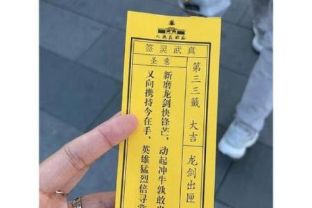 真武灵签28