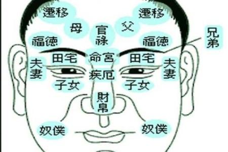 如何从下巴看相算命
