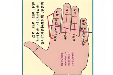 命理算命术语大全