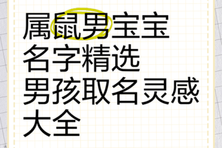 属鼠卯时出生的男孩取名的小诀窍姓名