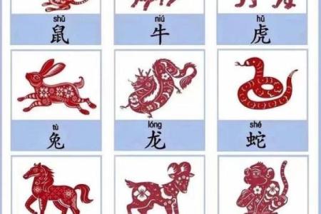 生肖鼠四大血型人的前途