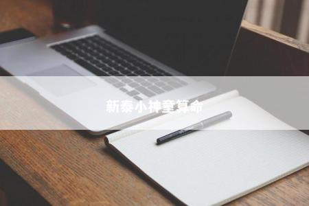 新泰小神童算命