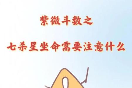 灵机紫薇斗数大师