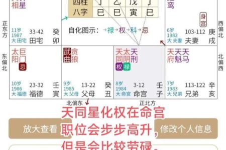 周易紫微斗数——五行职业论