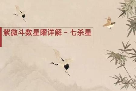 紫薇斗数七杀平