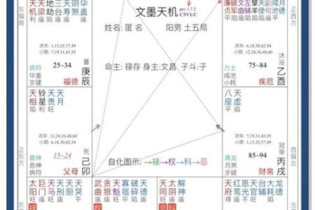 为什么四柱和紫薇斗数不一样