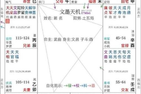 紫薇斗数导语