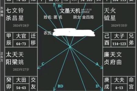紫微斗数太阳太阴在疾厄宫