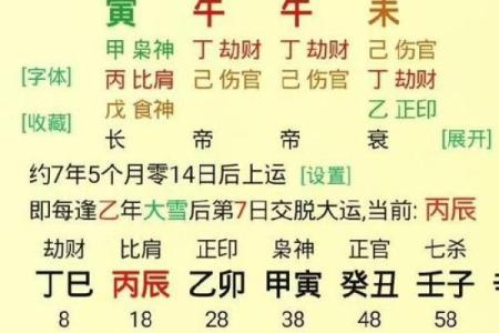 八字真宗精解书：深度解析你的八字命格特点