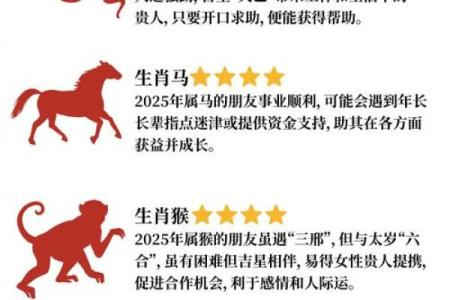 属龙和属鼠的八字合吗