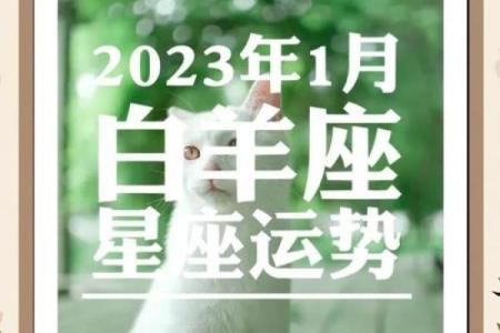 小马乖运势,呦呦星座运势