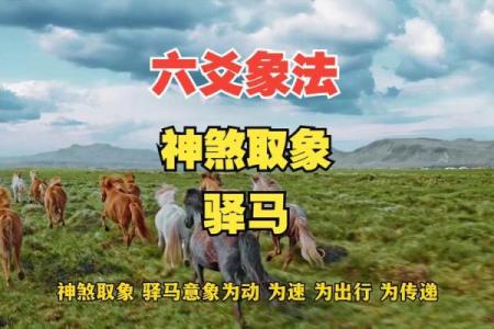 算命驿马是什么意思 算命驿马的意义