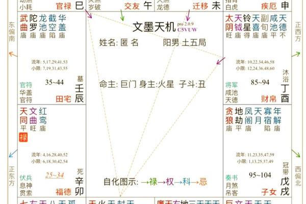 日月并命格,紫微斗数十大贵命命格