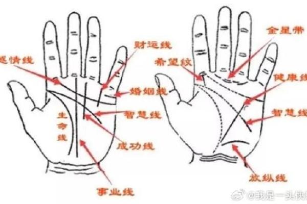 男人九种手相算命图解
