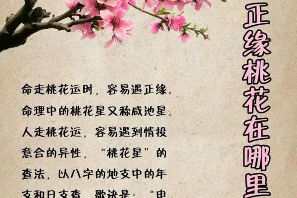 八字分析揭示性格特点及命运走势，告诉你如何预测未来