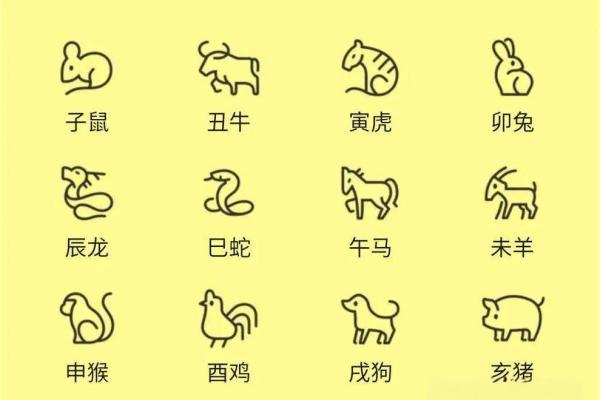 生肖八字