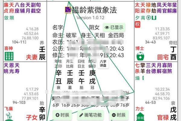 紫薇斗数看才子