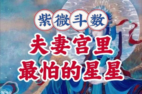 太阳在夫妻宫，紫微斗数太阳星入夫妻宫