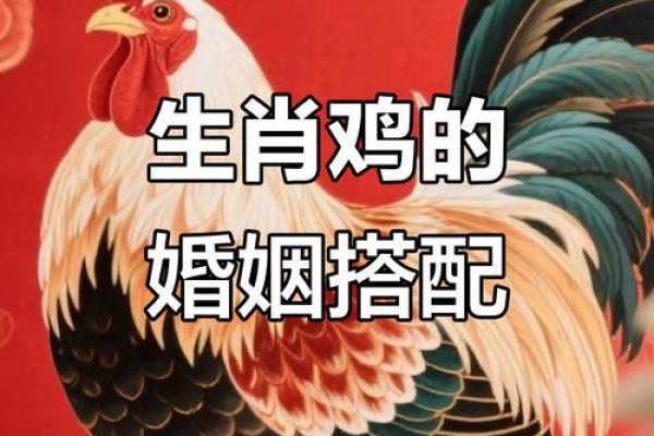 鸡跟什么生肖配对最好 生肖鸡最佳配对