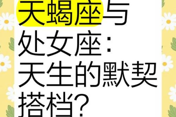 处女座和天蝎座能配对成一对吗男生