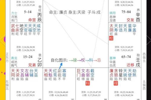 紫薇斗数各个派别