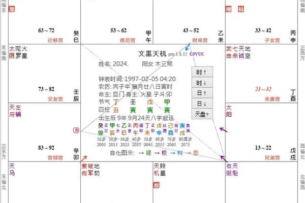 算个紫微斗数 算紫微斗数用什么ai？