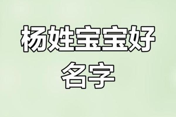 杨姓男孩名字大全-杨姓男孩起名字大全-杨姓名字大全姓名