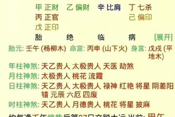 丁酉八字