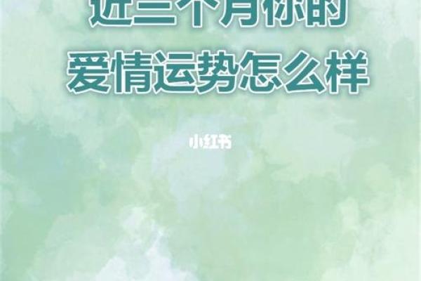 塔罗牌测试你今年的桃花期在几月？