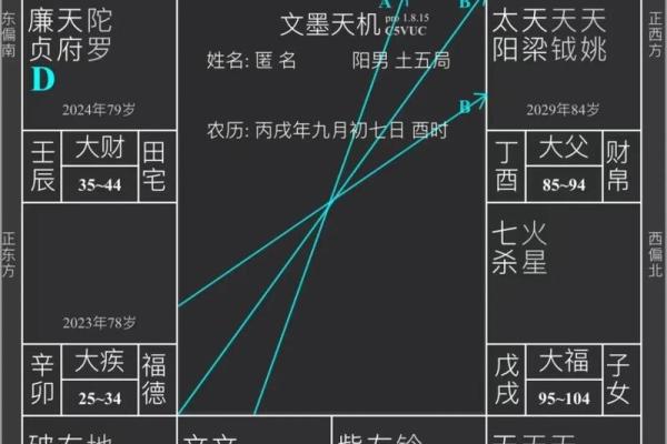 紫薇斗数婚姻测算