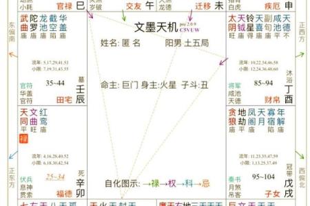 日月并命格,紫微斗数十大贵命命格