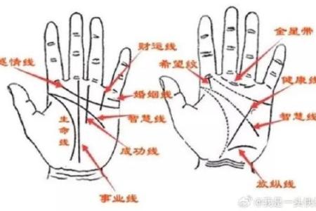 男人九种手相算命图解