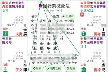 紫薇斗数看才子