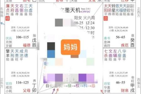 紫微斗数之：看命程序