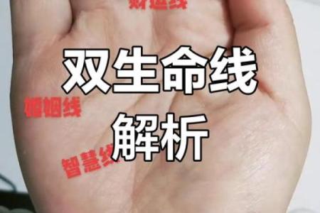 生命线算命：手掌上的玄机真能预测你的命运？