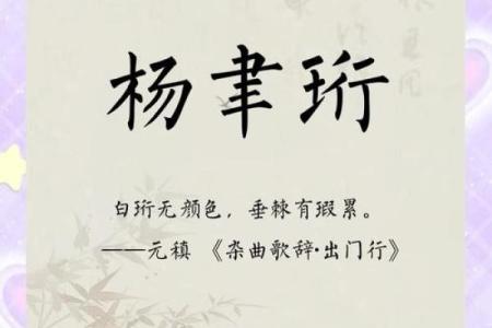 杨姓男孩名字大全-杨姓男孩起名字大全-杨姓名字大全姓名