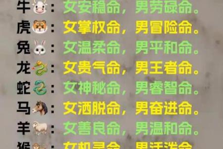 免费测试姓名一生命运,卜易居姓名测试打分免费