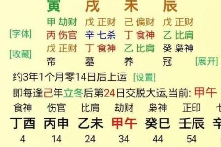 丁酉八字