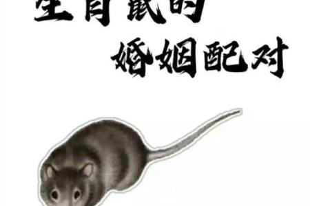 属鼠人招姻缘 属鼠姻缘在哪个方位？