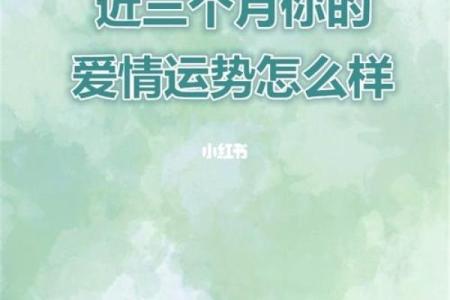 塔罗牌测试你今年的桃花期在几月？