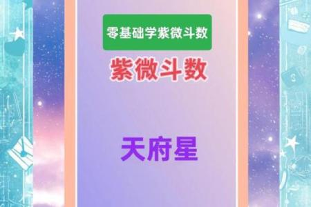 天府星和紫微斗数的联系