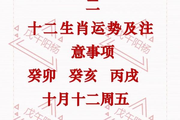 农历十月二十四是什么星座