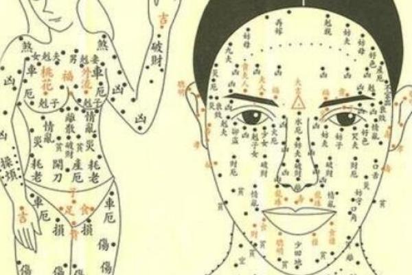 八字运程车测算：详解运势、婚姻、事业、财运等生肖运势