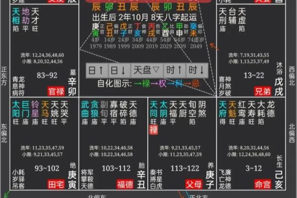 紫薇斗数与八字优缺点