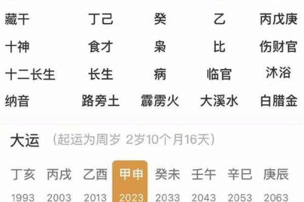 八字丁亥日柱男命能发财吗